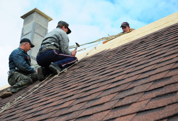 Roof Gutter Cleaning in Montrose Ghent, OH